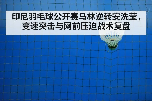 badminton net play